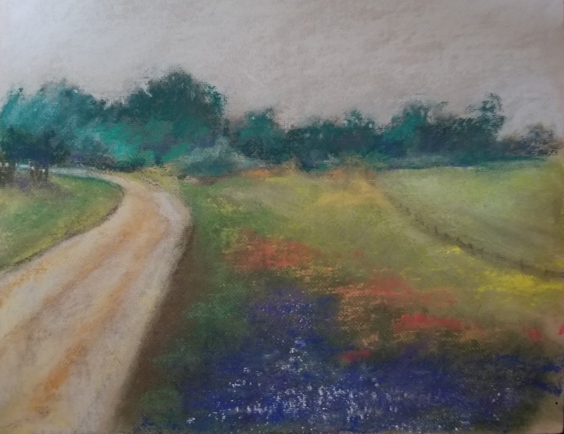 Bluebonnets near Brady by artist julia fletcher